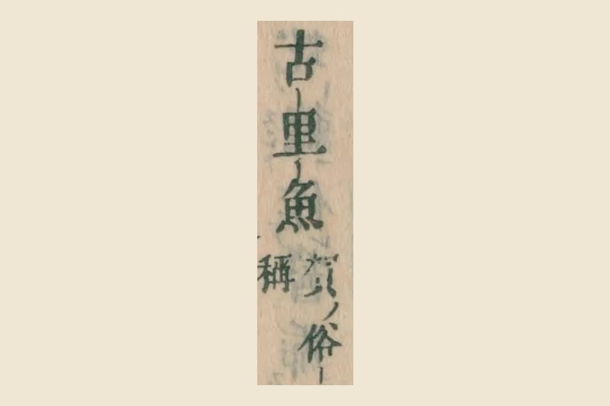 『本朝食鑑』巻七コマ155の「古里魚 賀俗稱」の大写し
