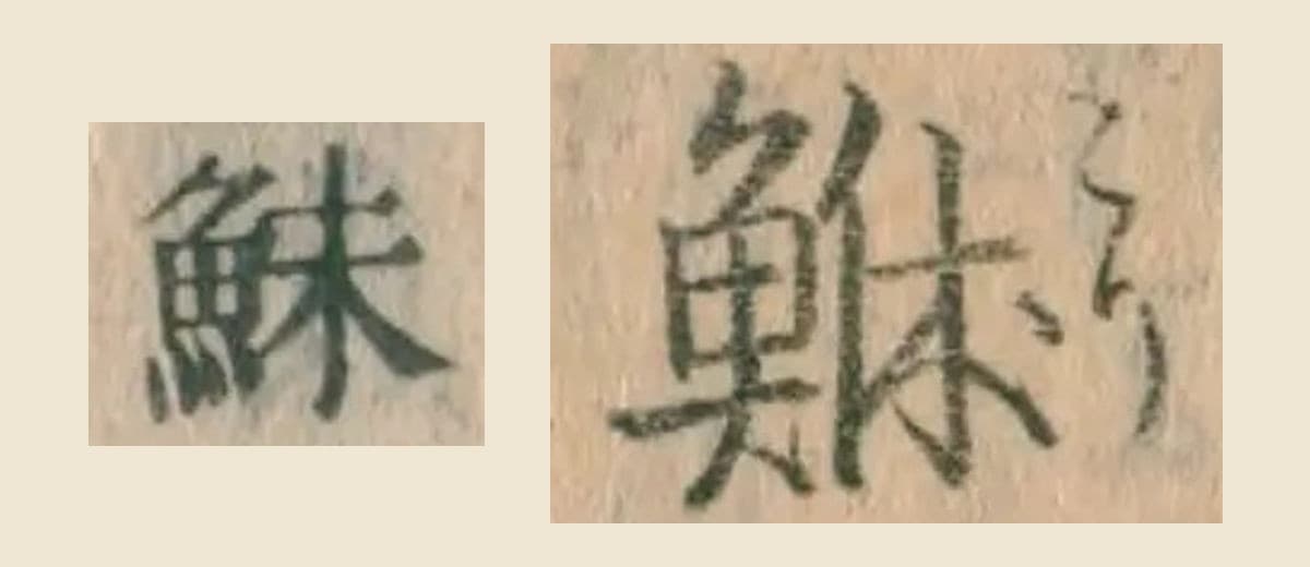 右に『日本山海名産図会』の見出し「鮴」、左に『本朝食鑑』の釋名の欄の「鮇」を並べた大写し