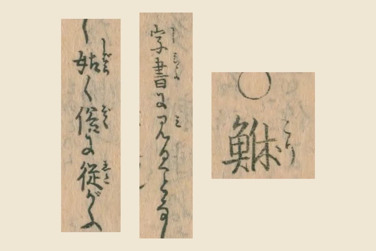 『日本山海名産図会』コマ19の見出し「鮴」と振り仮名「ごり」、注記「字書に見ることなし」「姑く俗に從がふ」の大写し