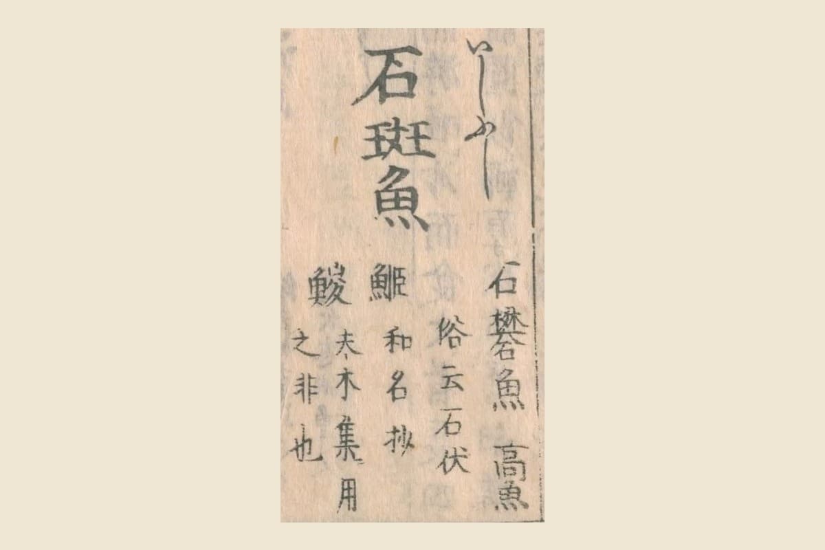 『和漢三才図会』コマ14の見出し「石斑魚」と振り仮名「いしぶし」、「俗云石伏」の大写し