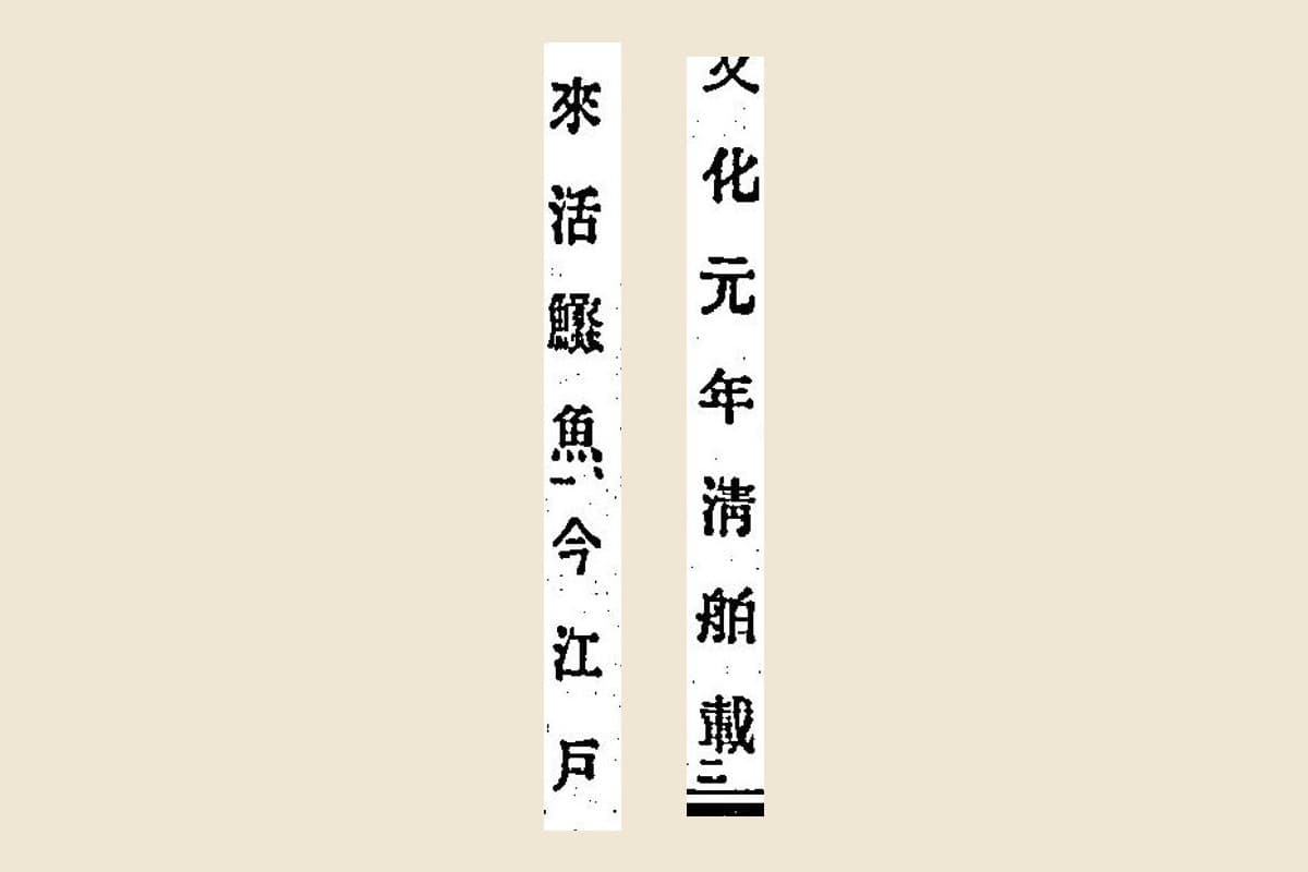 『箋注倭名類聚抄』巻八コマ20の「文化元年清舶載」「來活鱧魚今江戸」の大写し