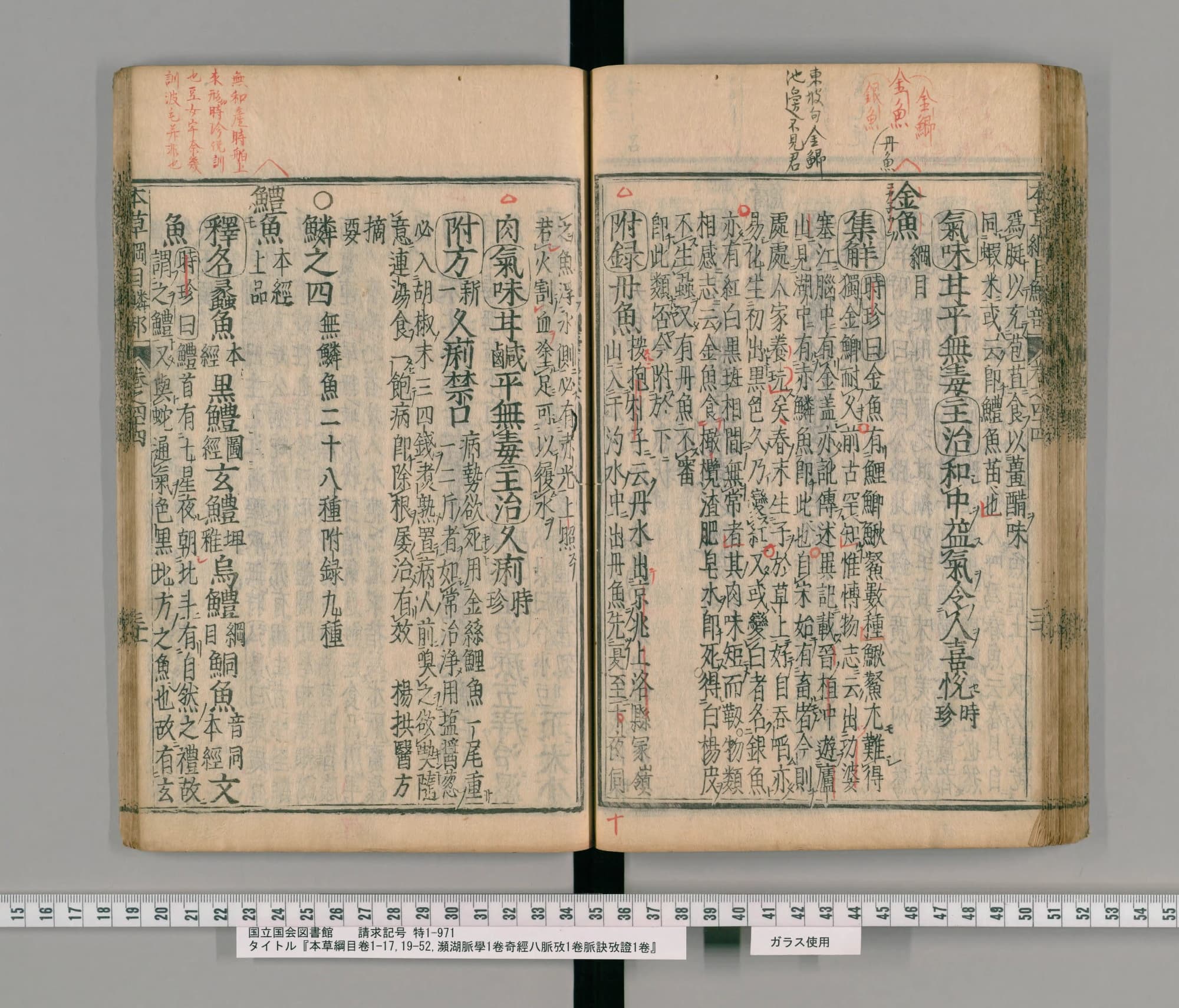 『本草綱目』承応2年刊本 巻四十四コマ78の見開き。左ページに「鱗之四 無鱗魚」と見出し「鱧魚」、上の余白に朱の書き入れ