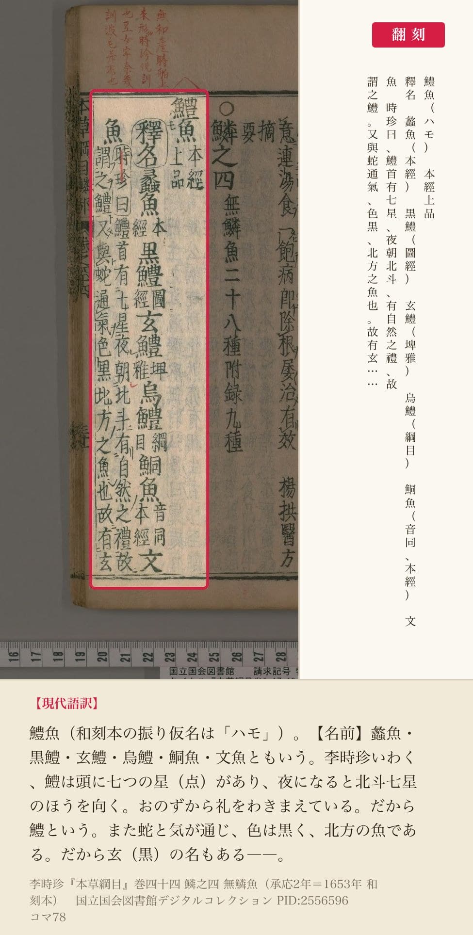 『本草綱目』巻四十四コマ78の鱧魚の見出しと釈名の4列と翻刻