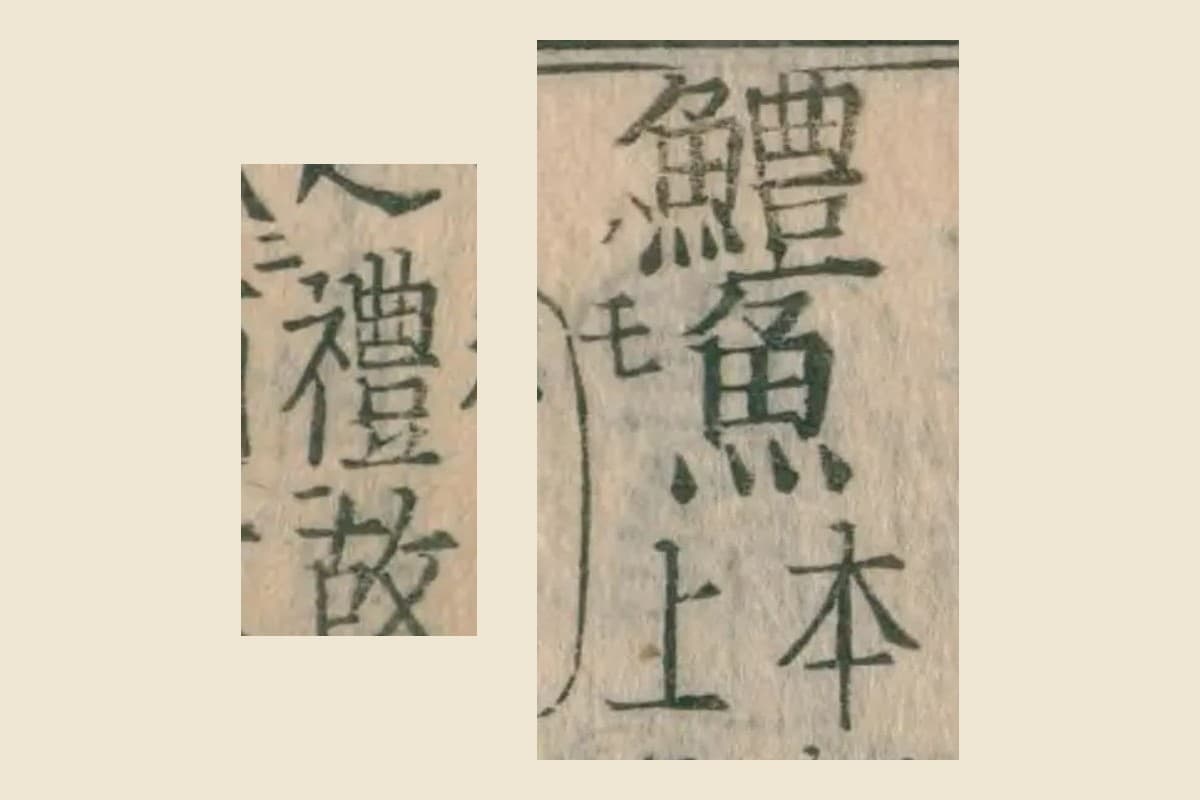 『本草綱目』コマ78の見出し「鱧魚」と、説明文中の「禮」の大写し