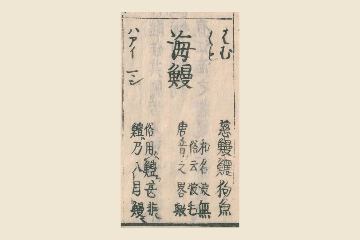 『和漢三才図会』の見出し「海鰻（はむ・はも）」と「和名波無 俗云波毛 唐音之畧歟」「俗用鱧甚非 鱧乃八目鰻」の大写し