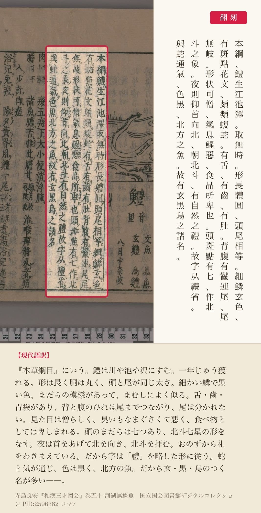 『和漢三才図会』巻五十コマ7の「本綱鱧生江池澤」から「故字从禮省」を含む5列と翻刻