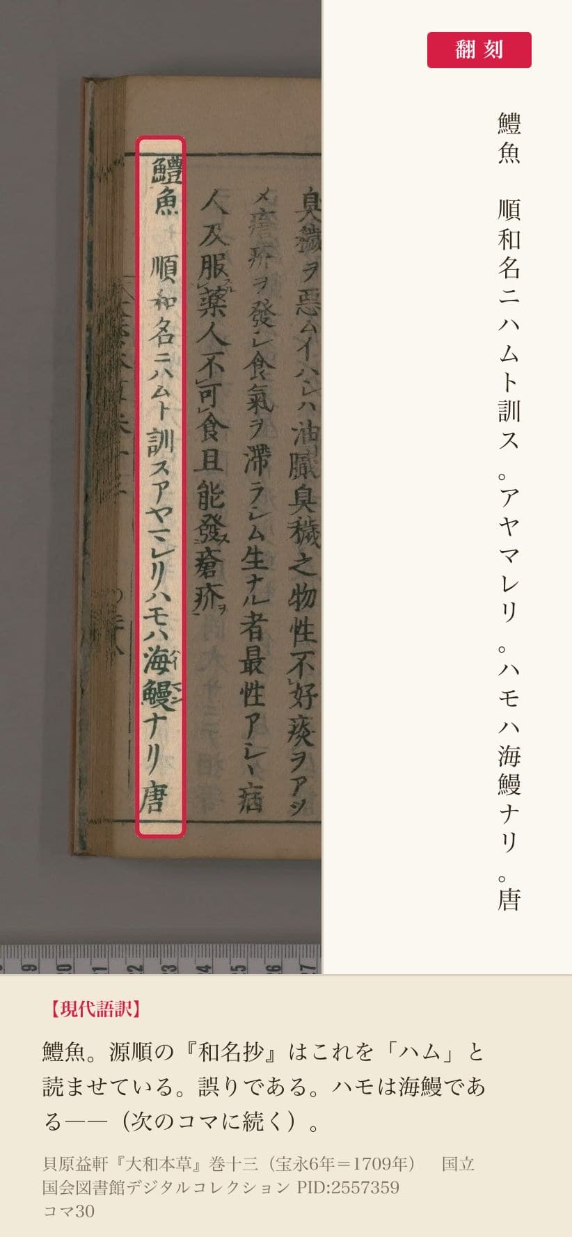 『大和本草』巻十三コマ30の「鱧魚 順和名ニハムト訓スアヤマレリハモハ海鰻ナリ」の1列と翻刻