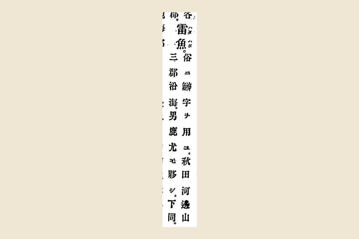 『日本地誌提要』巻之三十五の物産欄「雷魚　俗ニ鰰字ヲ用ユ　秋田河邊山本三郡沿海　男鹿尤モ夥シ」の大写し