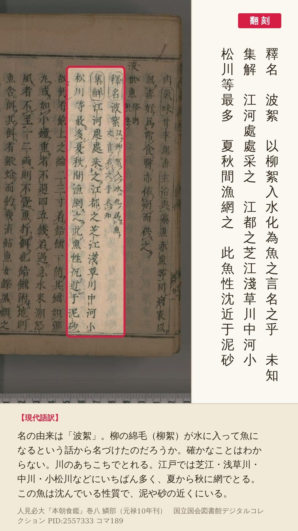 『本朝食鑑』コマ189の釋名と集解の書き出しを赤枠で囲み、翻刻と現代語訳を並べた画像