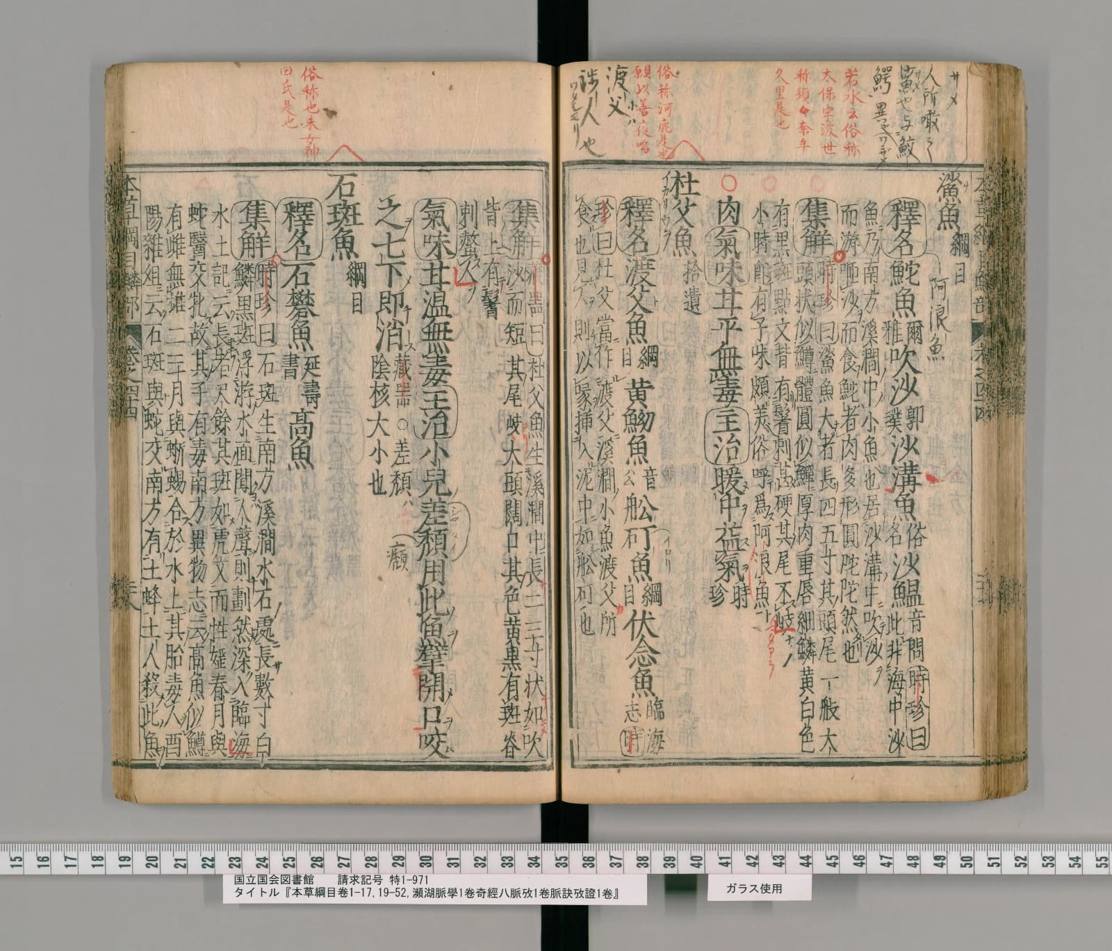 『本草綱目』巻四十四コマ75の見開き。右ページの右端に見出し「鯊魚」