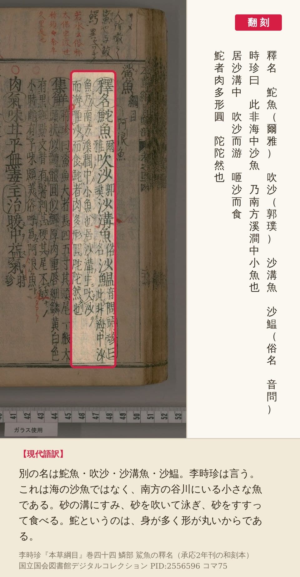 『本草綱目』コマ75の鯊魚の釋名を赤枠で囲み、翻刻と現代語訳を並べた画像