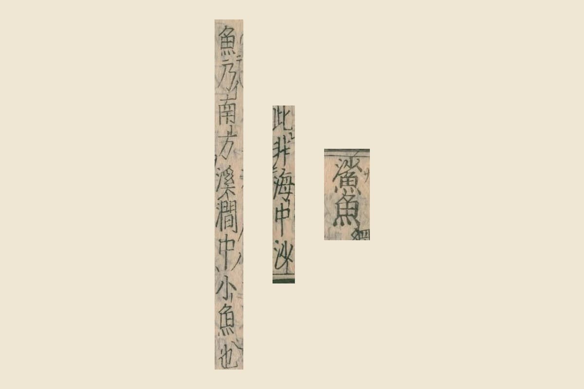 『本草綱目』コマ75の見出し「鯊魚」と「此非海中沙」「魚乃南方溪澗中小魚也」の大写し