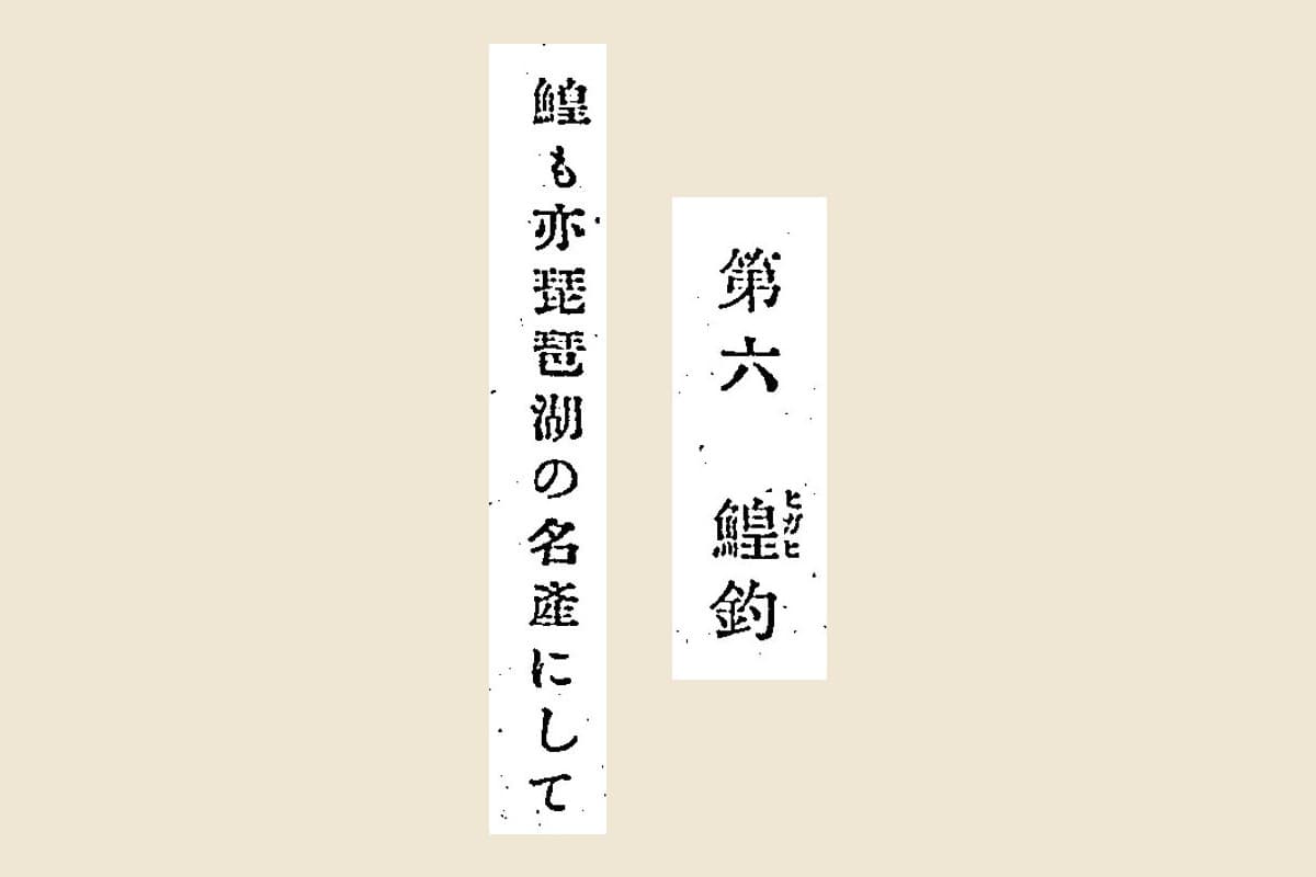 『日本水産捕採誌』コマ16の見出し「第六 鰉釣」（鰉に振り仮名ヒガヒ）と本文「鰉も亦琵琶湖の名產にして」の大写し