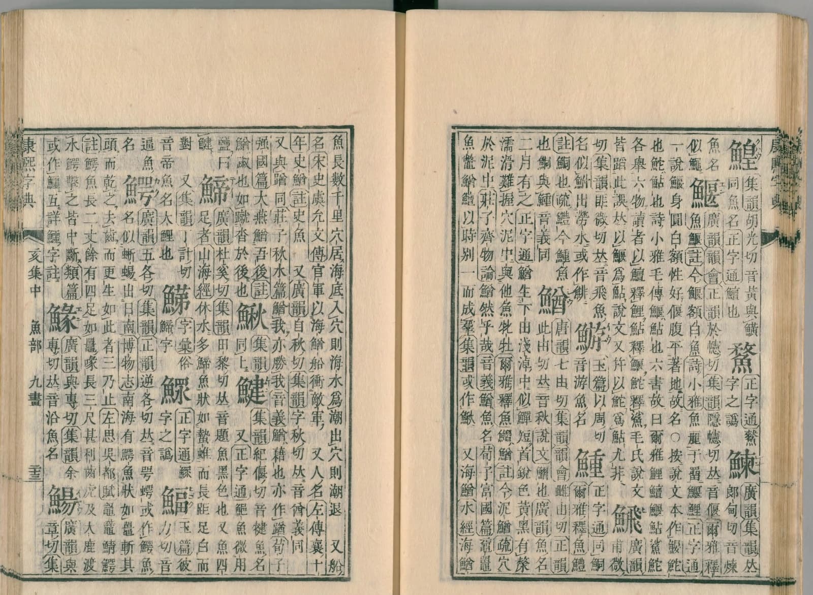 『康熙字典』魚部コマ25の見開き。右ページの右上のすみに見出しの字「鰉」