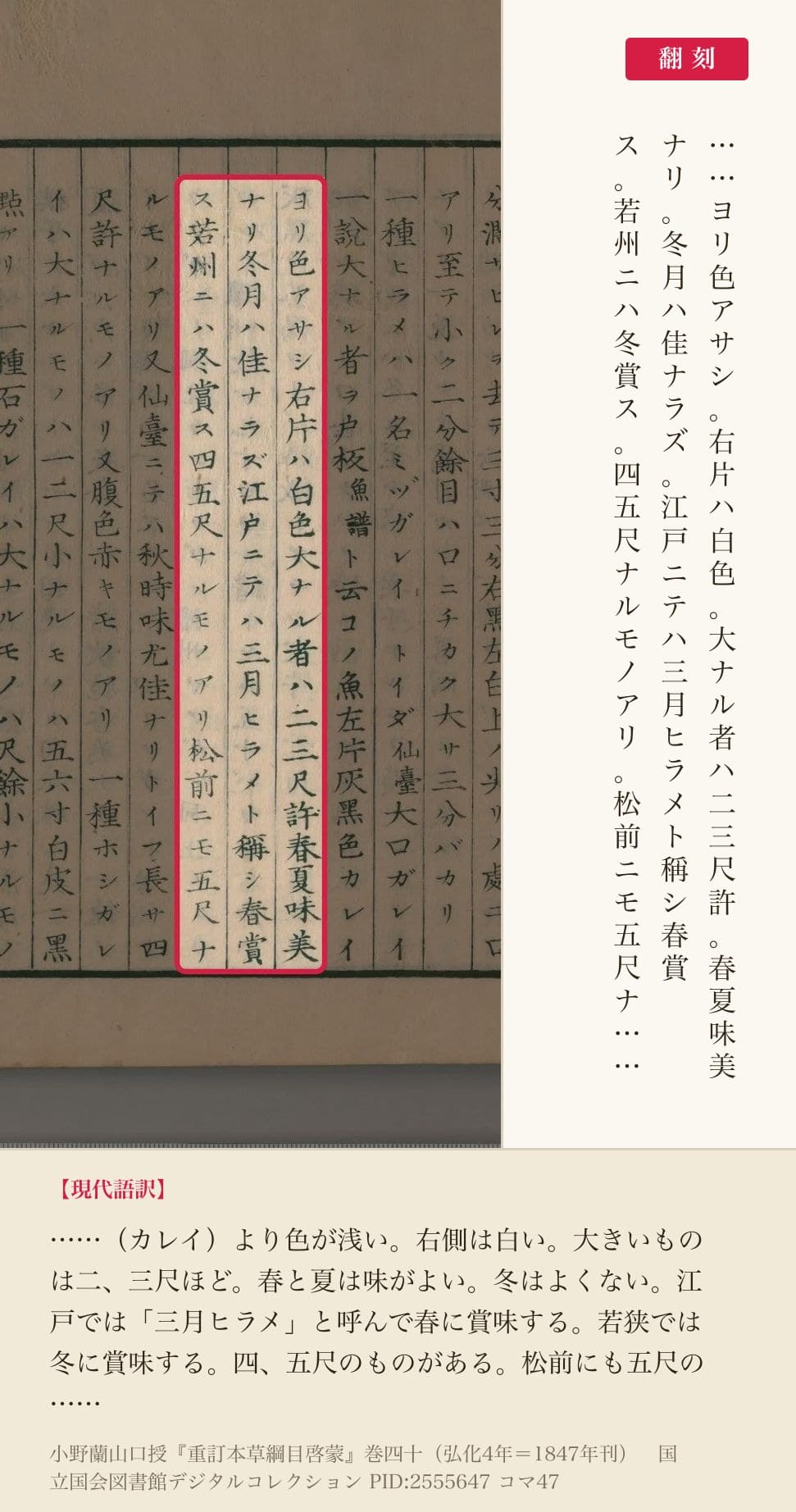 『重訂本草綱目啓蒙』巻四十コマ47のヒラメの説明3列と翻刻