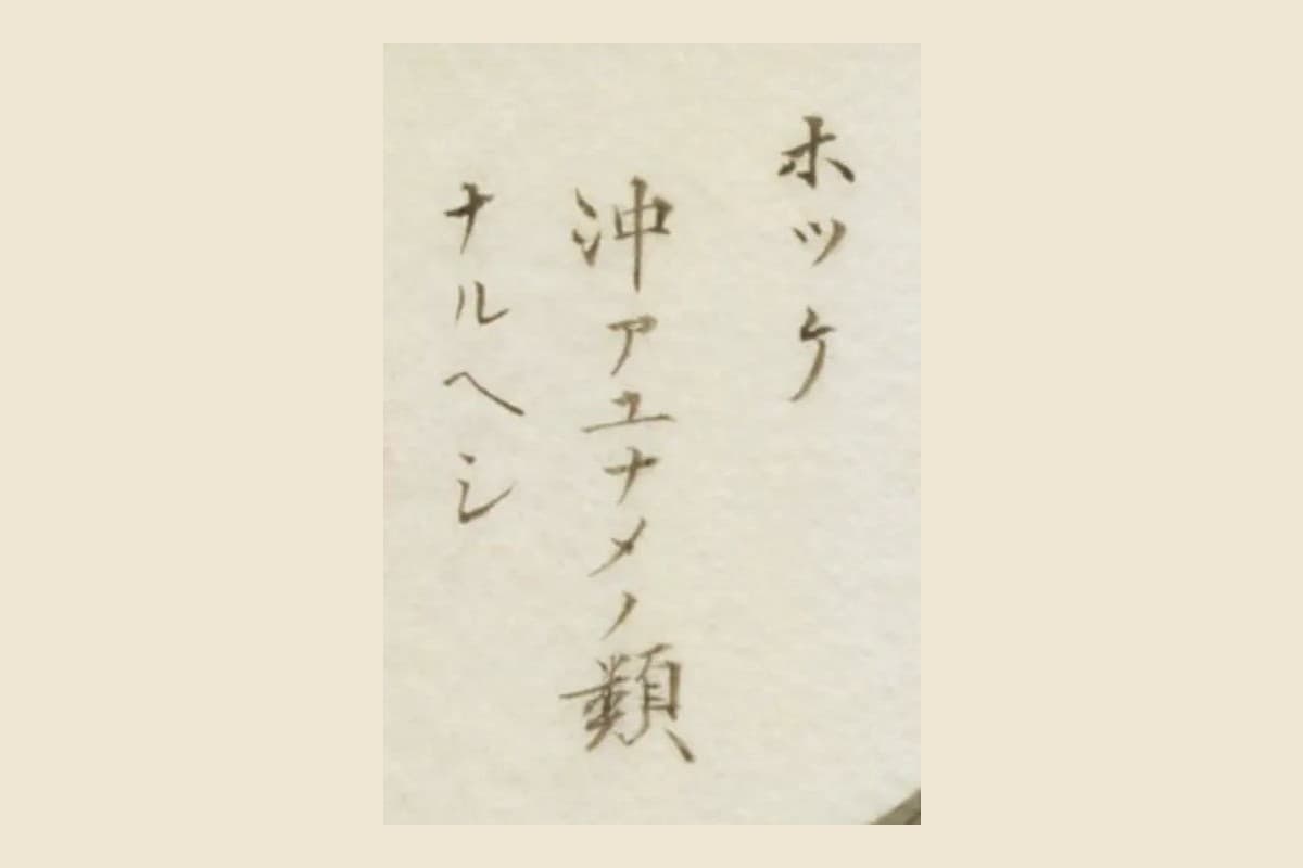 『栗氏魚譜』コマ8の書き入れ「ホツケ 沖アユナメノ類ナルヘシ」の大写し