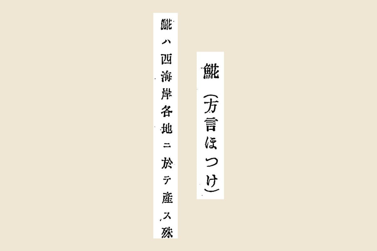 『北海道水産予察調査報告』コマ128の見出し「𩸽（方言ほつけ）」と本文「𩸽ハ西海岸各地ニ於テ産ス」の大写し