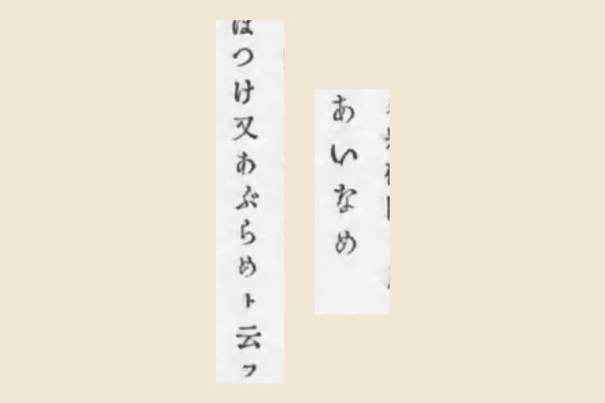 『日本重要水産動物図』解説コマ19の「あいなめ」「ほつけ又あぶらめト云フ」の大写し
