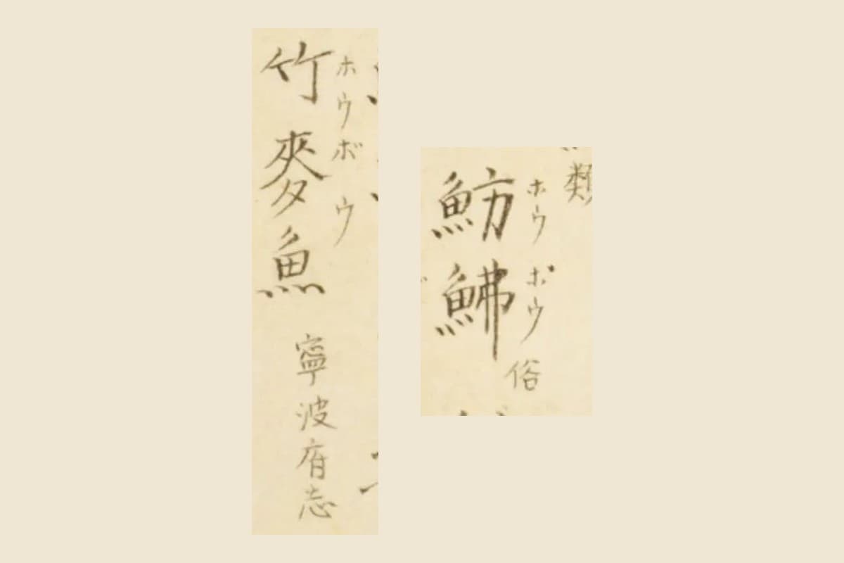 『梅園魚品図正』コマ9の書き入れ「魴鮄 ホウボウ 俗」と「竹麥魚 ホウボウ 寧波府志」の大写し