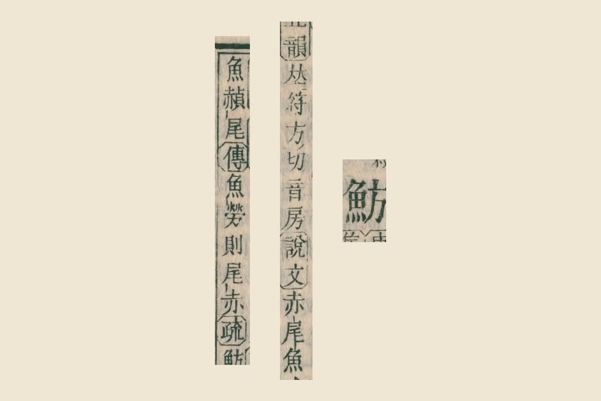 『康熙字典』コマ7の見出し「魴」と、説明「符方切音房」「說文 赤尾魚」「魚赬尾 傳 魚勞則尾赤」の大写し