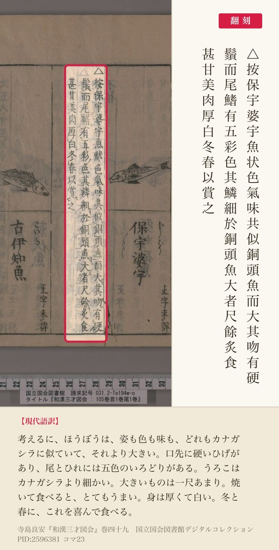 『和漢三才図会』コマ23のホウボウの項の本文3列と翻刻