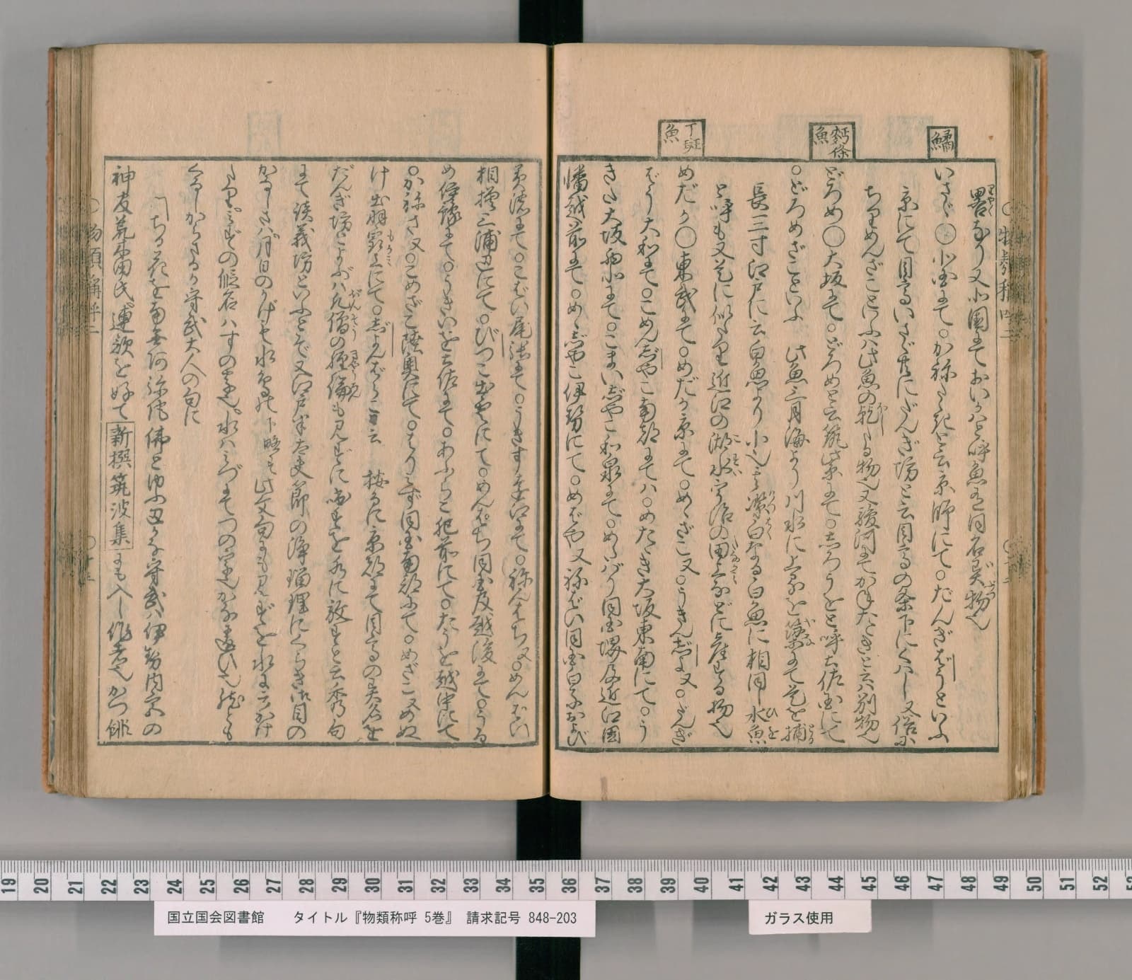 『物類称呼』コマ32の見開き。右ページの右寄りの上の欄外に四角で囲んだ見出し