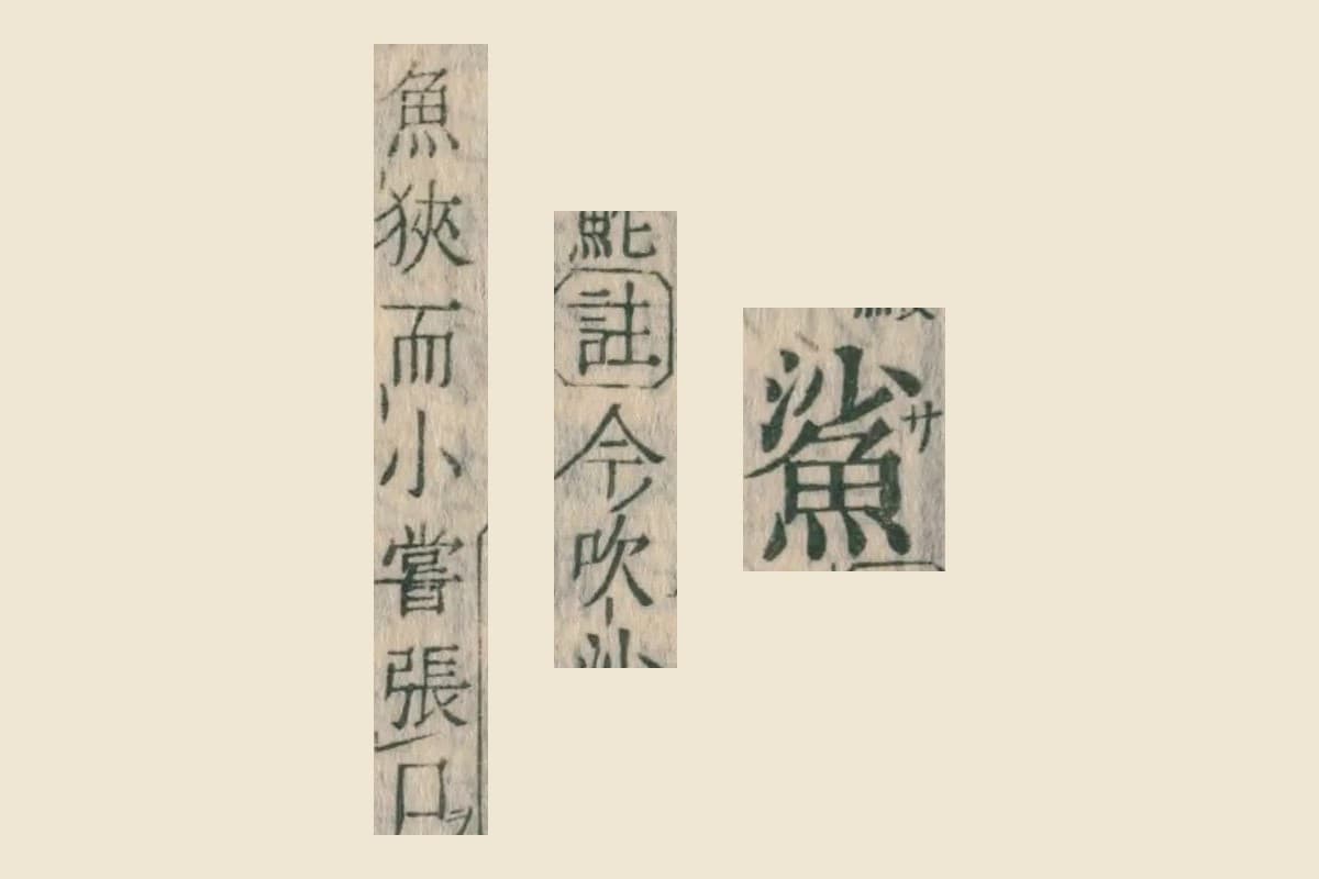 『康熙字典』コマ18の見出し「鯊」と、説明「註 今吹沙（小魚）」「魚狹而小嘗張口」の大写し