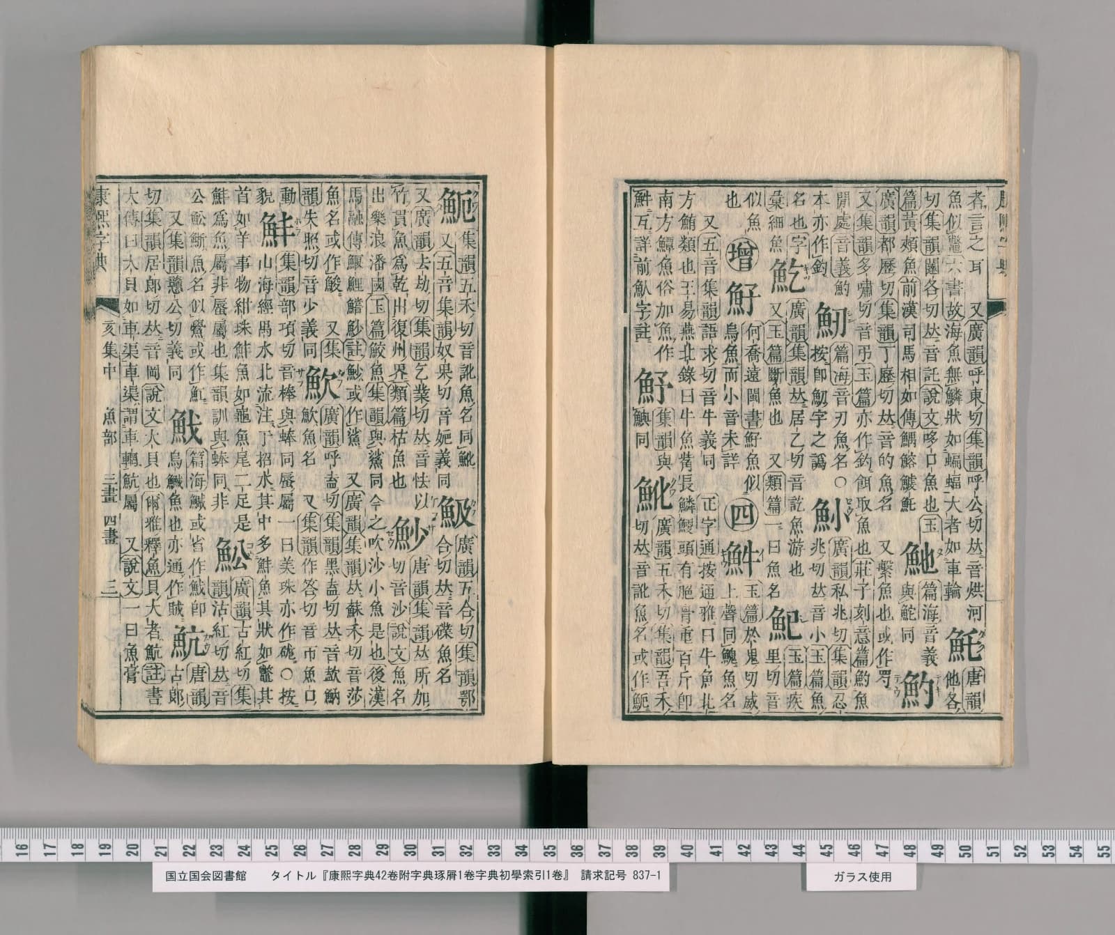 『康熙字典』魚部コマ5の見開き。左ページの中ほどに見出しの字「魦」