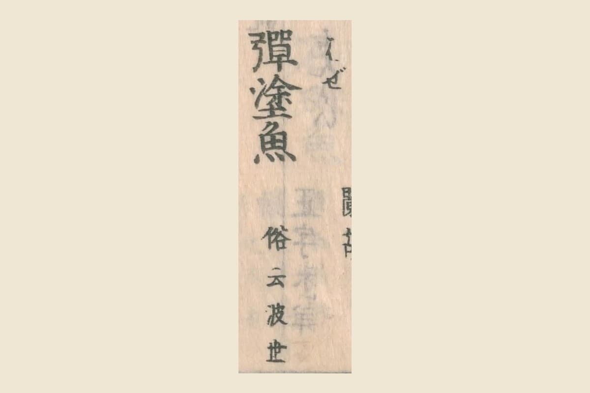 『和漢三才図会』コマ15の見出し「彈塗魚」と振り仮名「はぜ」、注「俗云波世」の大写し