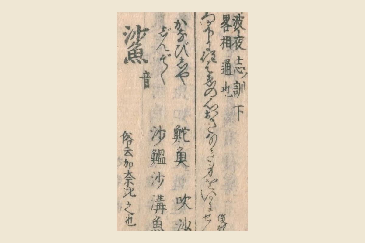 『和漢三才図会』コマ13の見出し「鯊」と振り仮名「かなびしや」「じんぞく」、別名「鮀魚 吹沙 沙鰛 沙溝魚」「俗云加奈比之也」の大写し