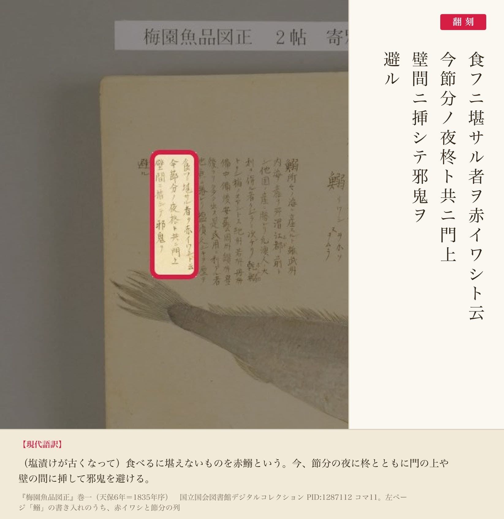 『梅園魚品図正』巻一コマ11の鰯の書き入れのうち「今節分ノ夜柊ト共ニ門上壁間ニ挿シテ邪鬼ヲ避ル」の列と翻刻