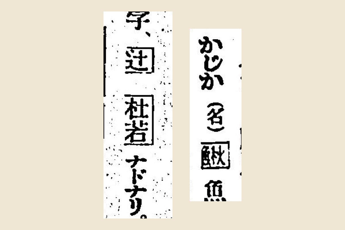 『言海』凡例の「和ノ通用字、辻 杜若 ナドナリ」と、「かじか（名）鰍」の大写し