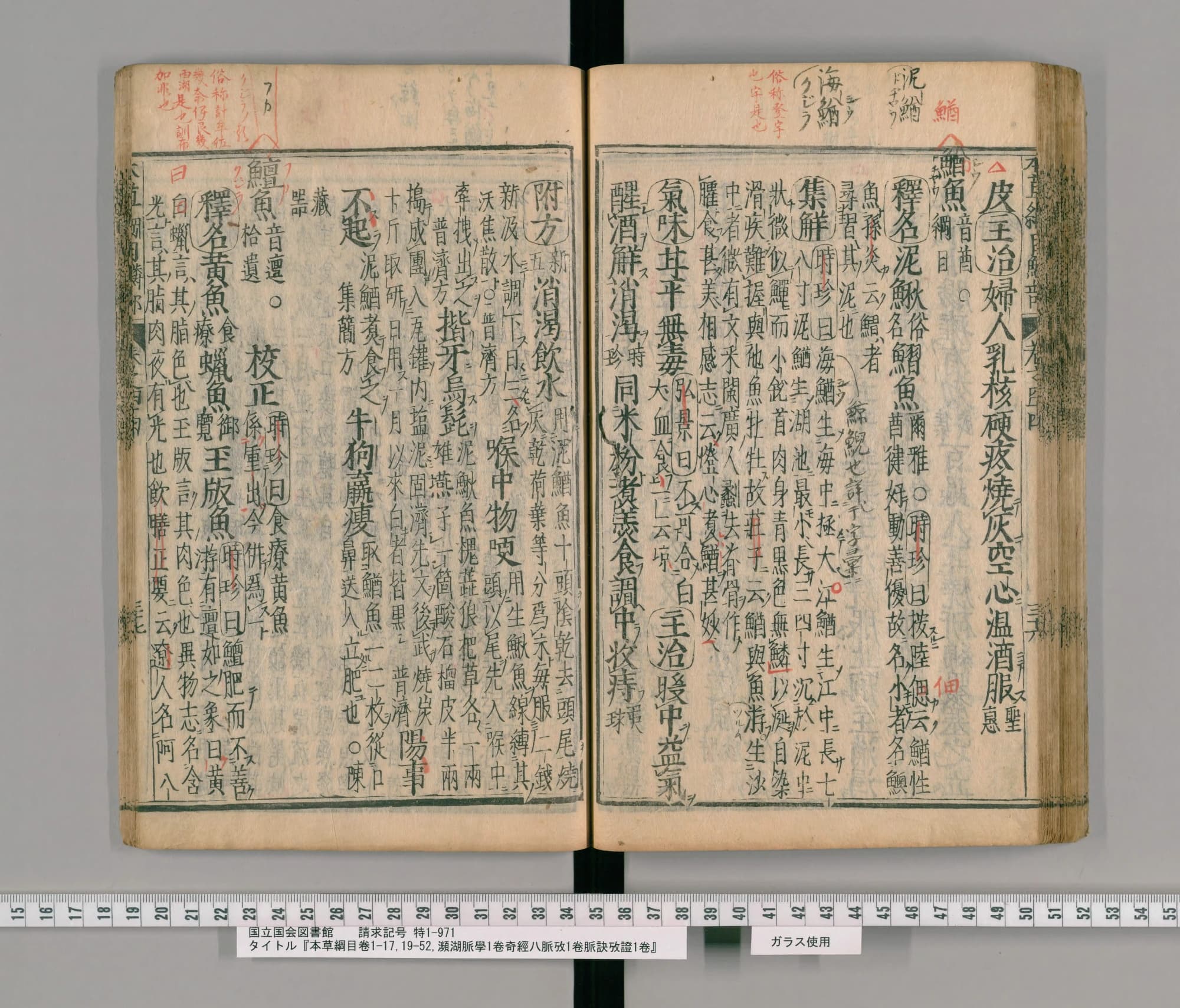 『本草綱目』巻四十四コマ84の見開き。右ページの上に朱の書き入れ、見出しに「鰌魚」