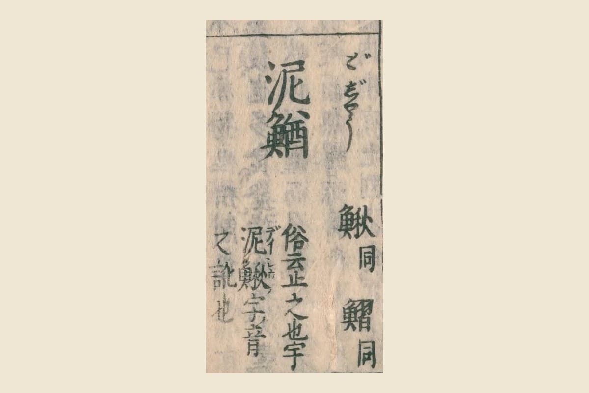 『和漢三才図会』の見出し「泥鰌（どぢやう）」と脇の「鰍 同」「鰼 同」、下の「俗云止之也宇 泥鰍字音之訛也」の大写し