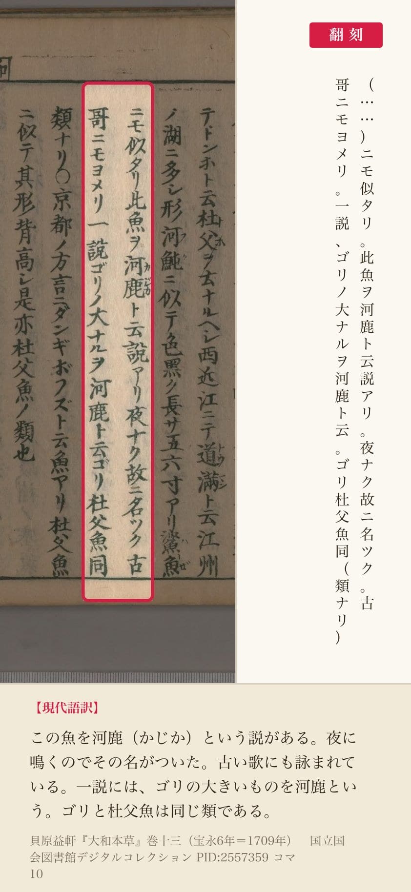 『大和本草』コマ10の「此魚ヲ河鹿ト云説アリ夜ナク故ニ名ツク」を含む2列と翻刻