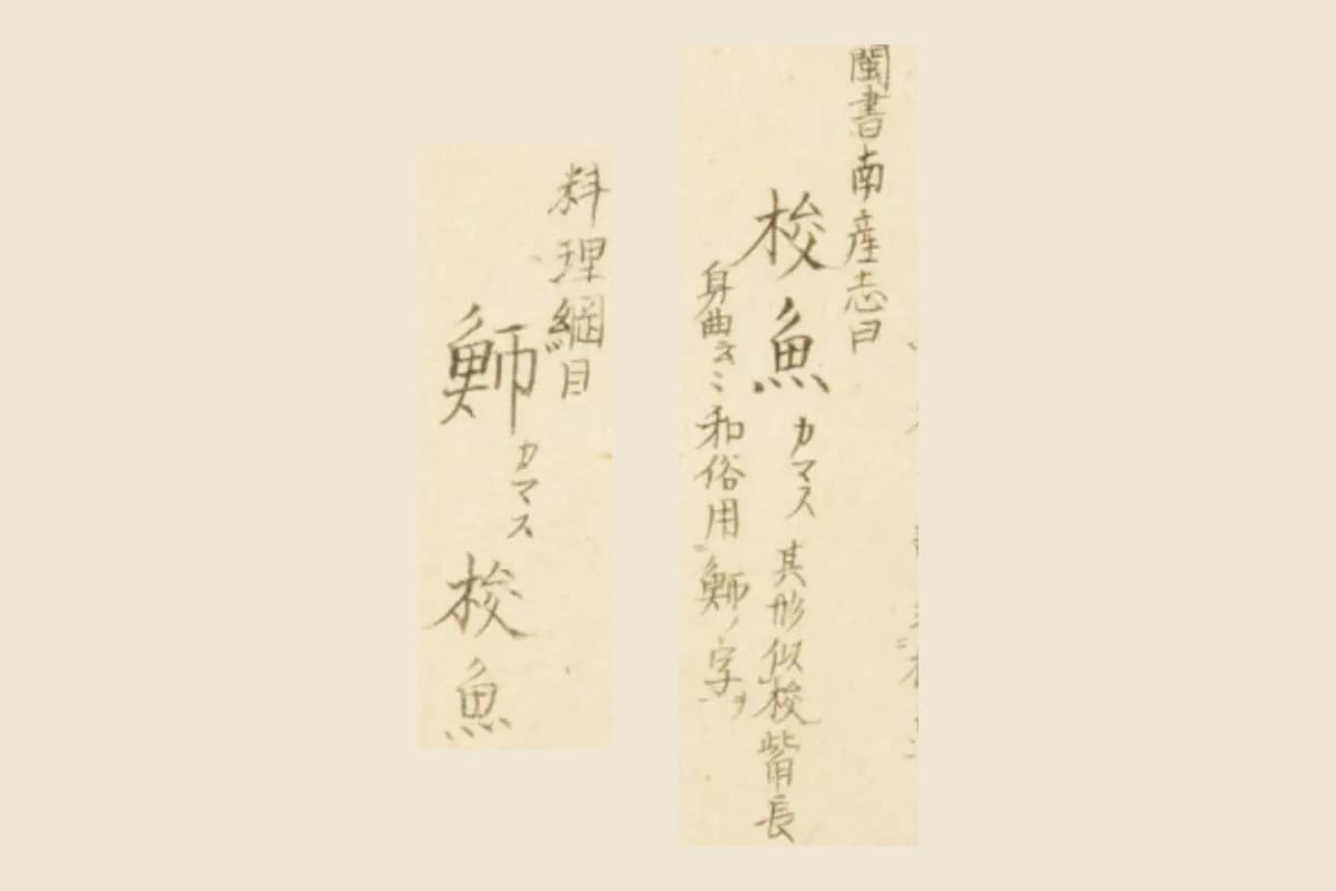 『梅園魚品図正』コマ24の書き入れ「閩書南産志曰 梭魚 カマス 其形似梭…和俗用魳ノ字ヲ」と「料理綱目 魳 カマス 梭魚」の大写し