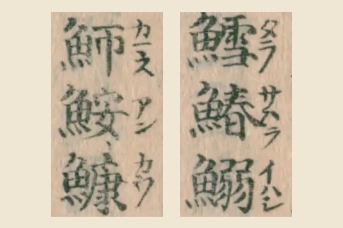 『大和本草』凡例の「鱈鰆鰯」と「魳鮟鱇」の大写し。字の右に振り仮名タラ・サハラ・イハシ・カマス・アン・カウ