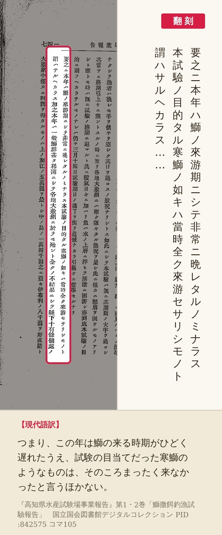 『高知県水産試験場事業報告』コマ105の「要之ニ本年ハ鰤ノ來游期ニシテ」から「謂ハサルヘカラス」までの列を赤枠で囲み、翻刻を並べた画像