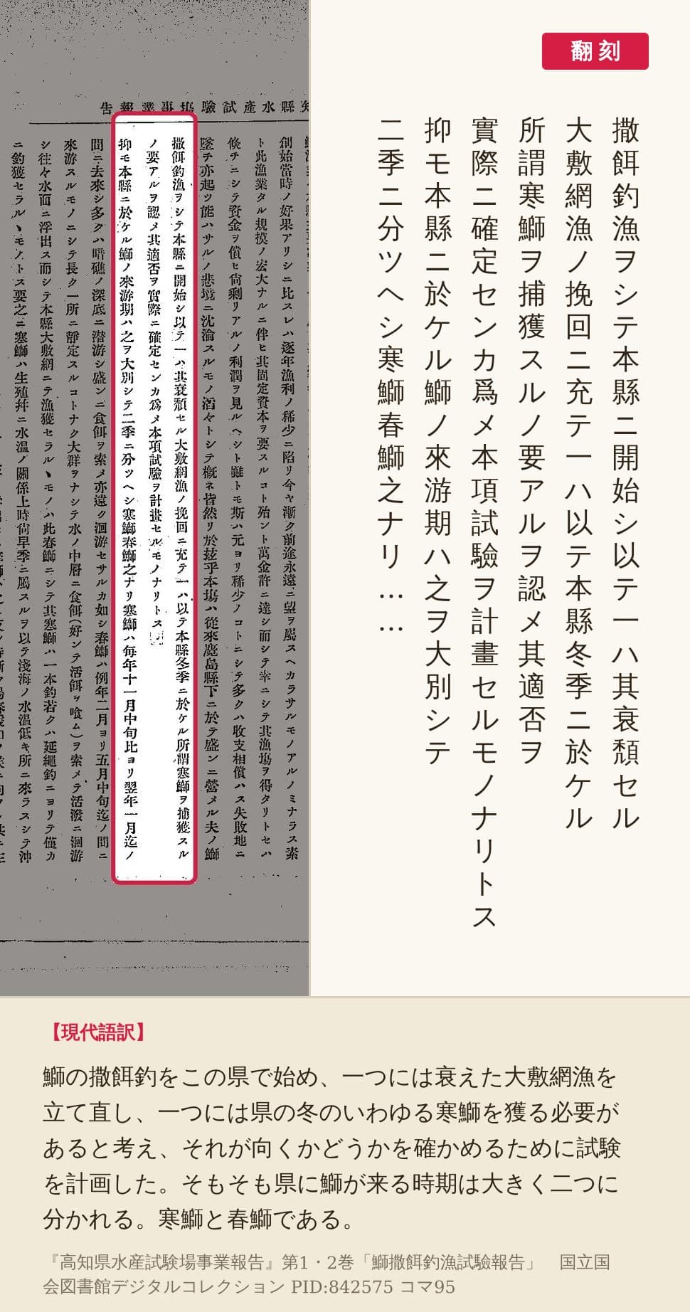 『高知県水産試験場事業報告』コマ95の「撒餌釣漁ヲシテ本縣ニ開始シ」から「寒鰤春鰤之ナリ」までの三列を赤枠で囲み、翻刻を並べた画像
