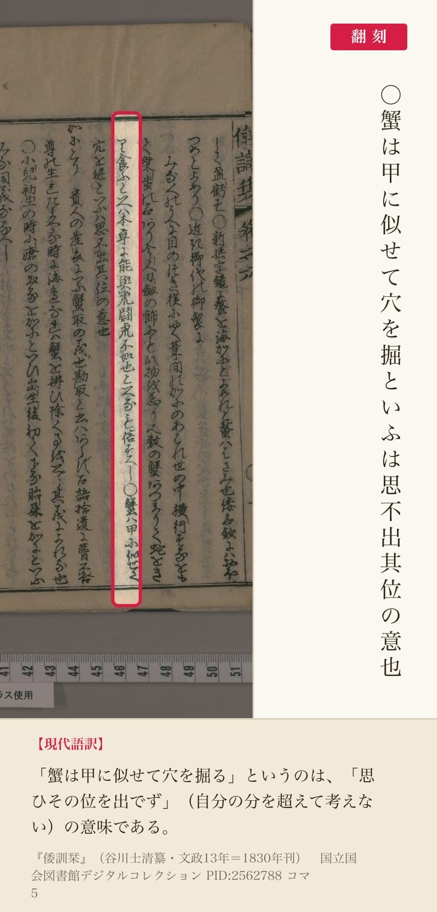 『倭訓栞』コマ5の「蟹は甲に似せて穴を掘といふは思不出其位の意也」の列と翻刻