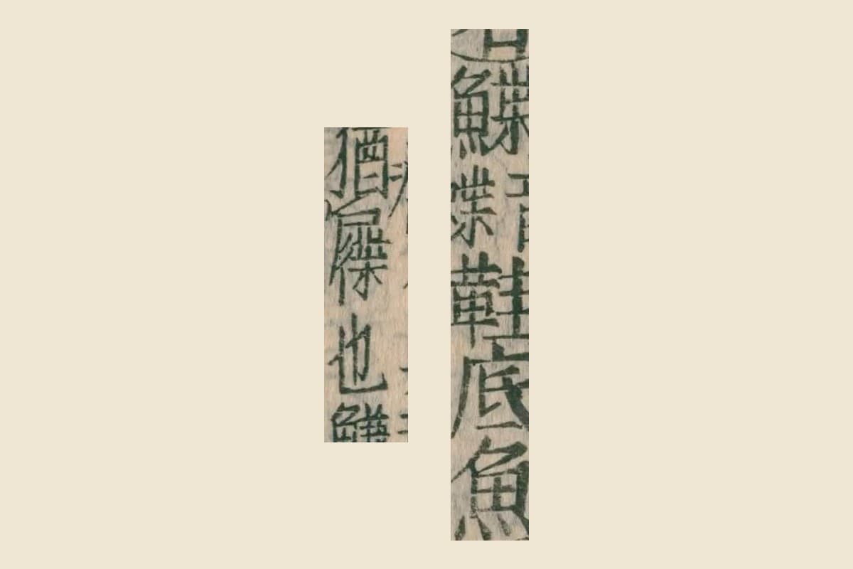 『本草綱目』コマ93の釈名「鰈（音蝶）鞋底魚」と「猶屧也」の大写し