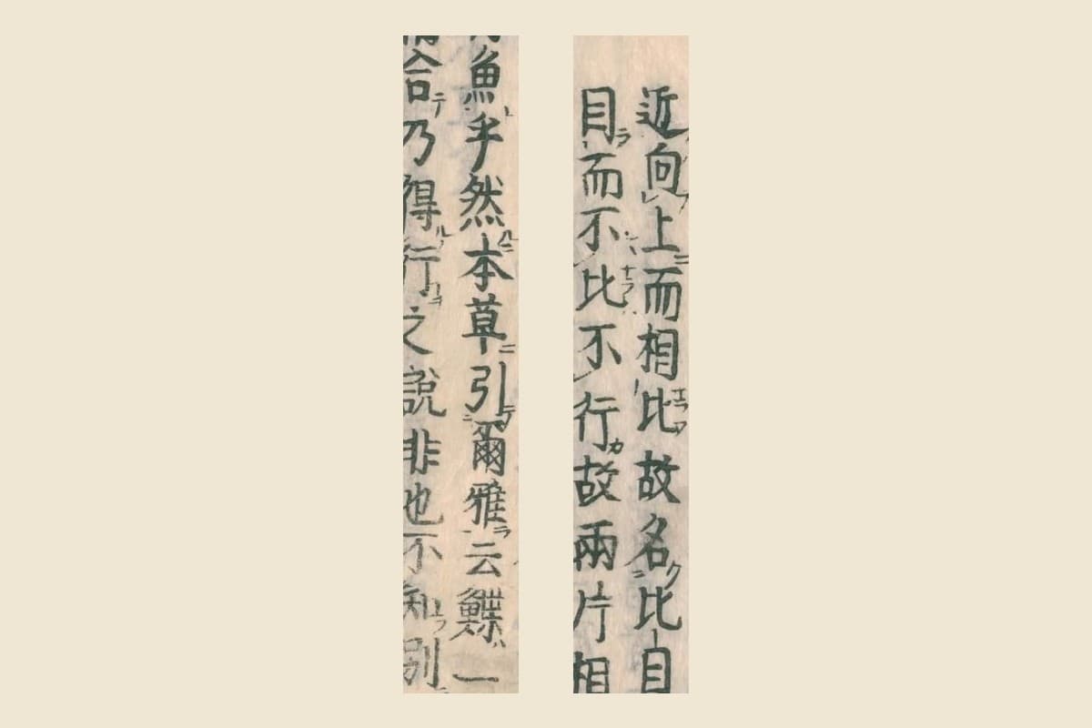『和漢三才図会』コマ23の「近向上而相比故名比目」「目而不比不行故兩片相」と「魚乎然本草引爾雅云鰈一」「合乃得行之說非也不知別」の大写し