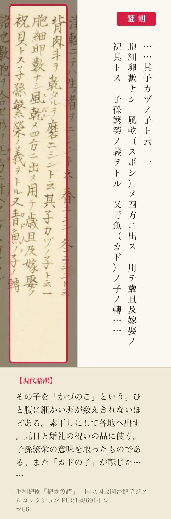 『梅園魚譜』コマ56の書き入れのうち、数の子について書いた三列と翻刻