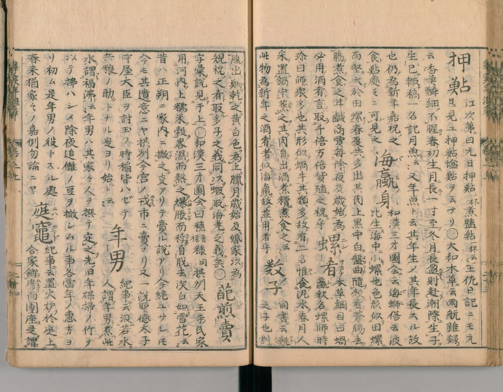 『華実年浪草』コマ43の見開き。右ページの中ほどに大きく「数子」の見出しが見える