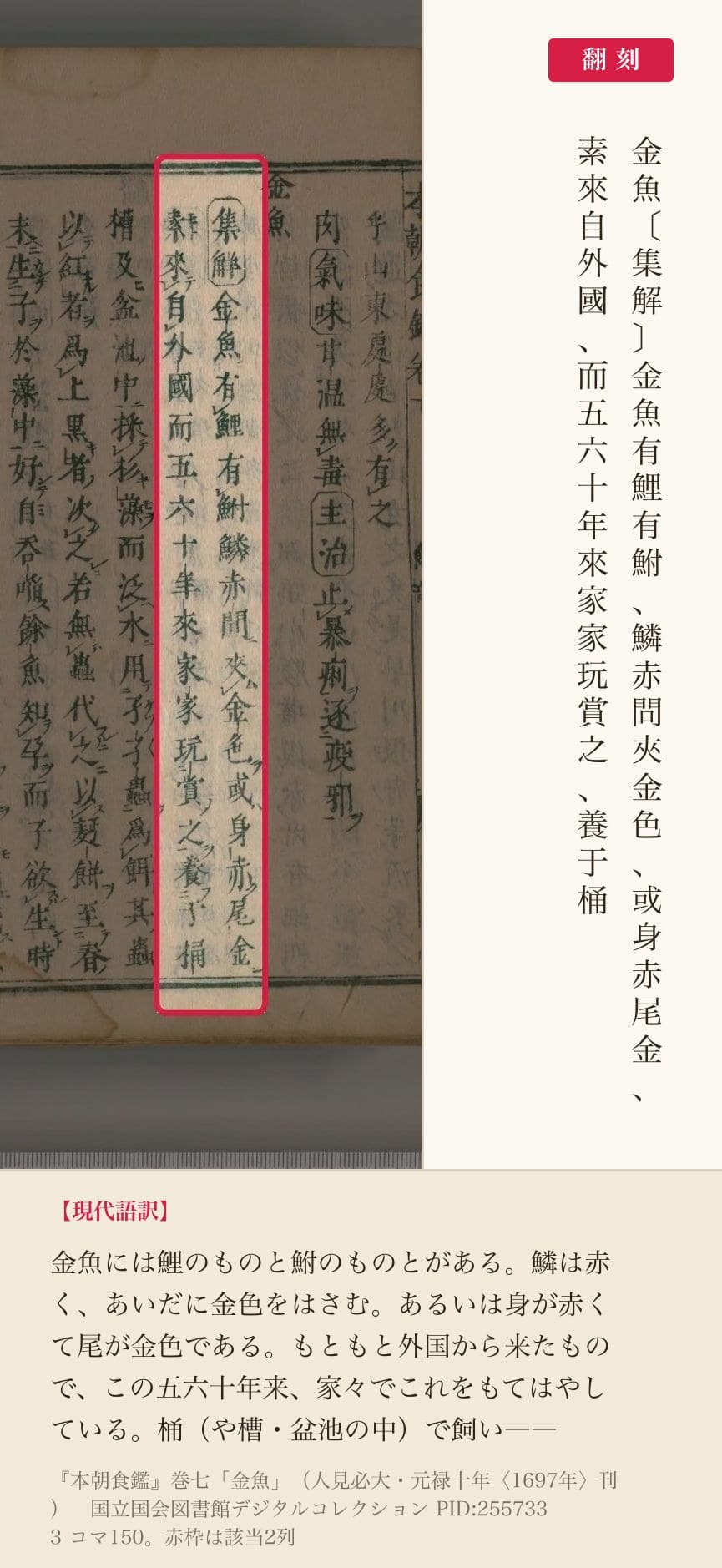 『本朝食鑑』巻七の金魚の項、2列と翻刻。「素來自外國、而五六十年來家家玩賞之」