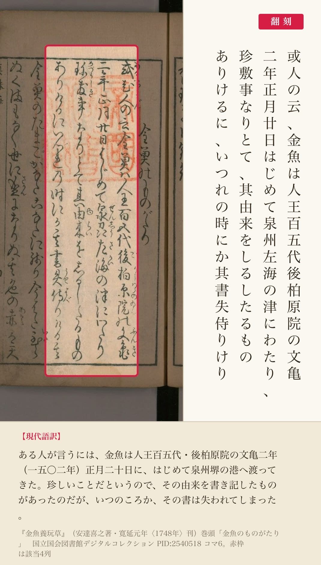 『金魚養玩草』冒頭の4列と翻刻。「或人の云、金魚は……文亀二年正月廿日、はじめて泉州左海の津にわたり」