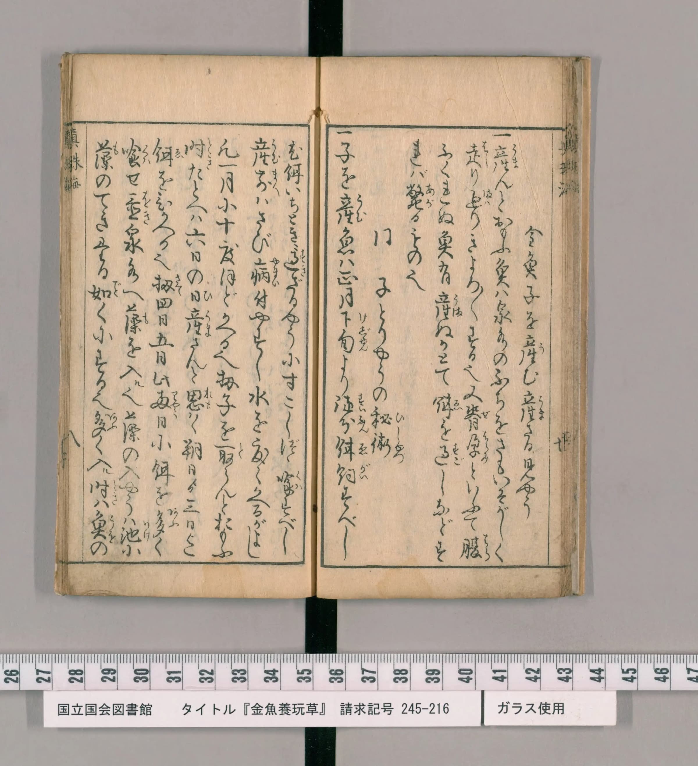 『金魚養玩草』の見開き。産卵の兆候の見分け方から「子とりやうの秘術」へ移る