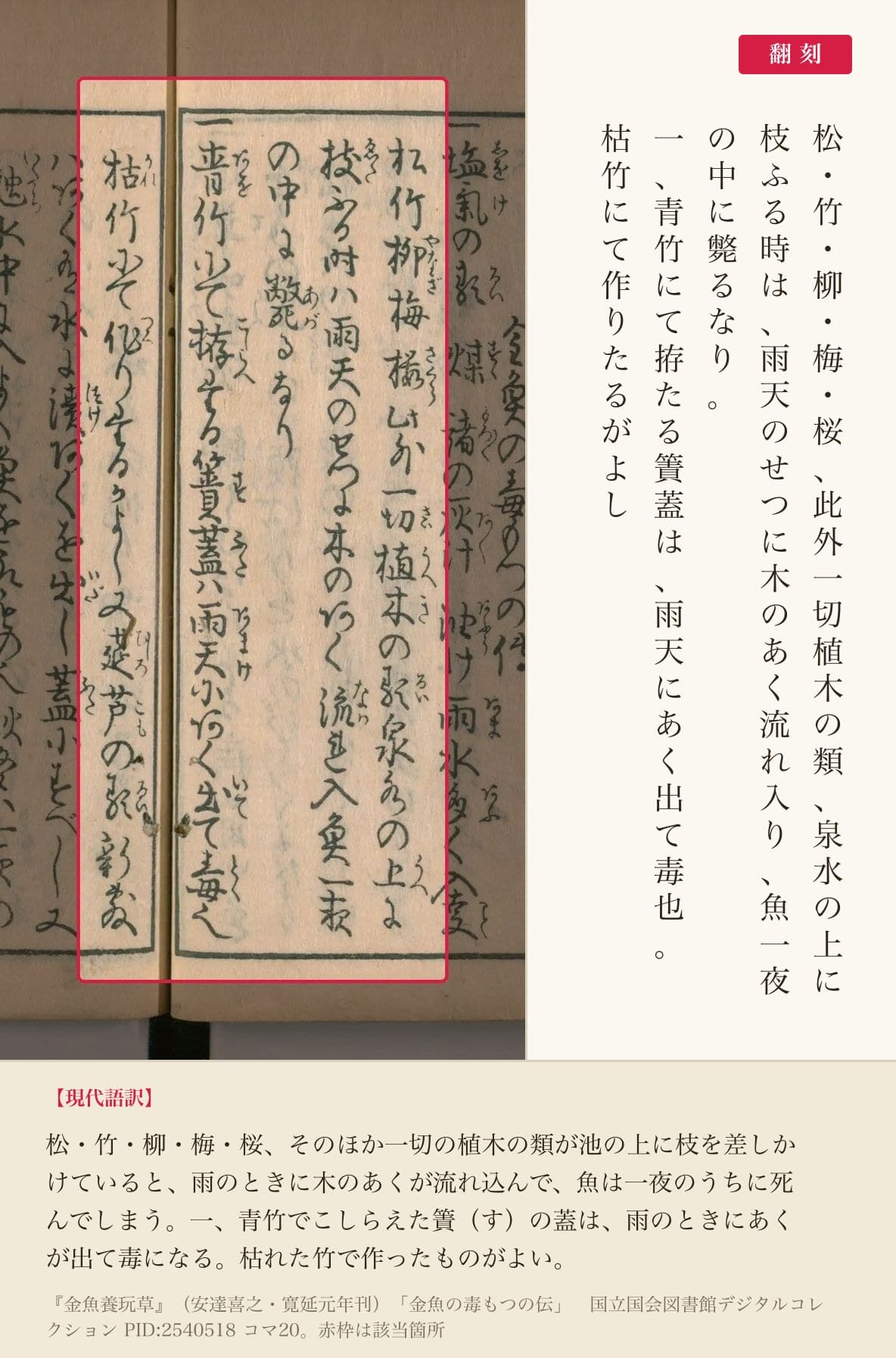 池の上の木の枝と、青竹の蓋の害を記した箇所、赤枠と翻刻