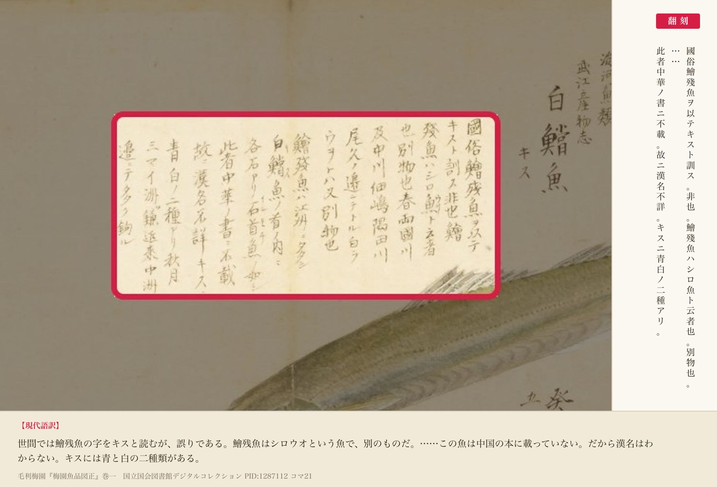 『梅園魚品図正』コマ21のキスの書き入れ「國俗鱠殘魚ヲ以テキスト訓ス非也」から「漢名不詳キスニ青白ノ二種アリ」までと翻刻