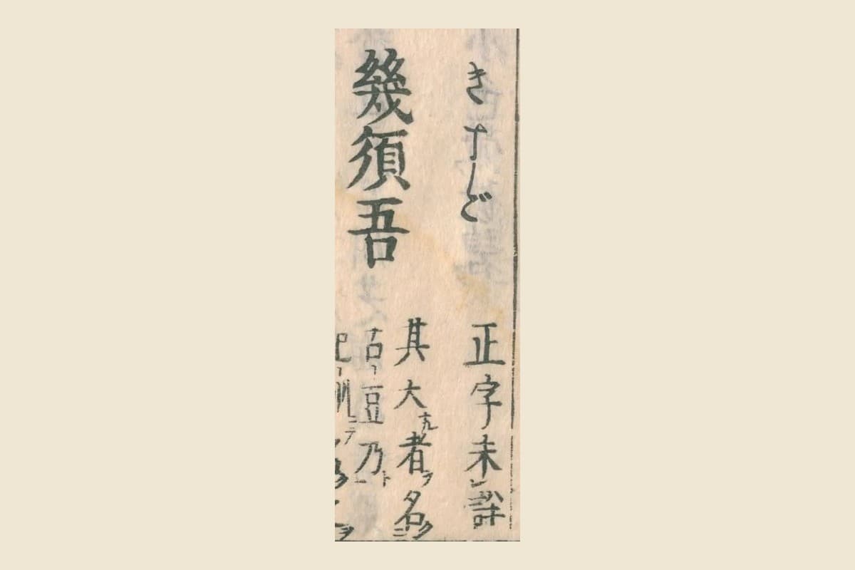 『和漢三才図会』の見出し「幾須吾（きすご）」と「正字未詳」の大写し